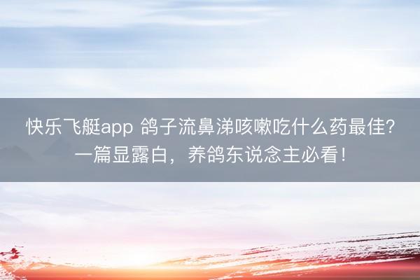 快乐飞艇app 鸽子流鼻涕咳嗽吃什么药最佳?一篇显露白,养鸽东说念主必看!